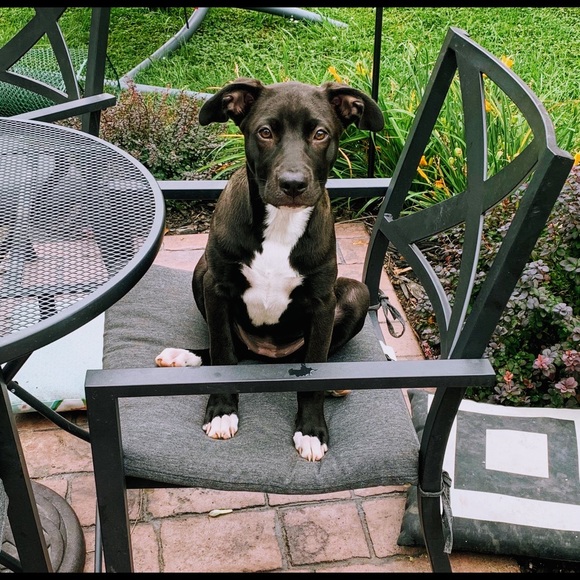 Meet your Posher, Jeanna - Picture 6 of 9